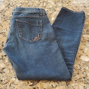 Express Zelda Low Rise Jeans